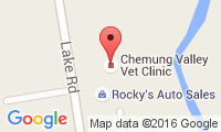 Chemung Valley Veterinary Clinic Location