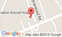 Paradise Animal Hospital Location