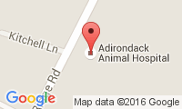 Adirondack Animal Hospital Location