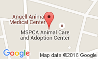 Angell Memorial Animal Hospital Location