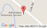 Adirondack Veterinary Service Location