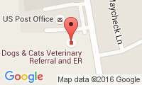 Dog's & Cat's Veterinary - Luis Braz-Ruivo Location