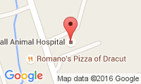 Wignall Animal Hospital Location