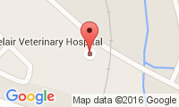 Belair Veterinary Hospital Location