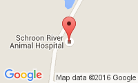 Schroon River Animal Hospital Location