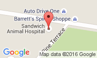 Sandwich Animal Hospital Location