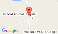Bedford Animal Hospital Location