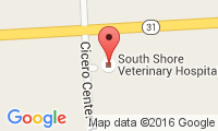 South Shore Veterinary Hospital Location