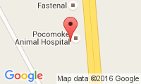 Pocomoke Animal Hospital Location