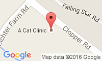 A Cat Clinic Location