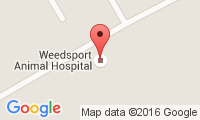Weedsport Animal Hospital Location