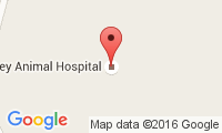 Rowley Animal Hospital Location