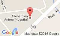 Allenstown Animal Hospital Location