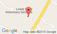 Lower Cape Veterinary Services Location
