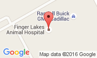 Finger Lakes Animal Hospital Location
