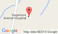 Sagamore Animal Hospital Location