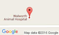 Walworth Animal Hospital Location