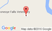 Honeoye Falls Veterinary Location