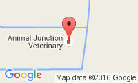 Animal Junction Veterinary Location