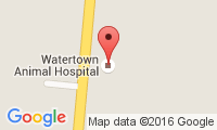 Watertown Animal Hospital Location