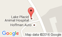 Lake Placid Animal Hospital Location