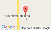 York Animal Hospital Location