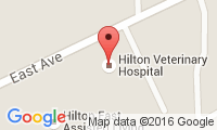 Hilton Veterinary Hospital Location