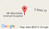Mt Mansfield Animal Hospital Location
