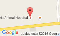 Batavia Animal Hospital Location