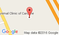 Animal Clinic Of Caroline Location