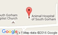 Animal Hospital-South Gorham Location