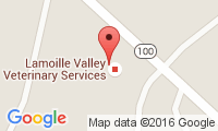 Lamoille Valley Veterinary Services Location