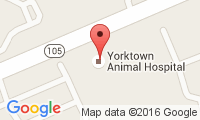 Yorktown Animal Hospital Location