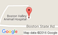 Boston Valley Animal Hospital Location