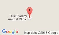 Kiski Valley Animal Clinic Location