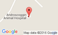 Androscoggin Animal Hospital Location