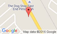 Pittsburgh Animal Hospital Location