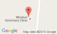 Windsor Veterinary Clinic Location