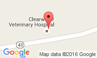 Clearwater Vet Hospital Location