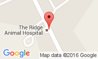 Ridge Animal Hospital Location