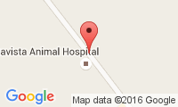 Altavista Animal Hospital Location