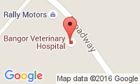 Bangor Veterinary Hospital Location