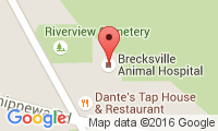 Brecksville Animal Hospital Location