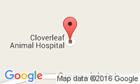 Cloverleaf Animal Hospital Location