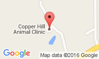 Copper Hill Animal Clinic Location