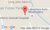 Amherst Animal Hospital Location