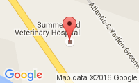 Summerfield Veterinary Hospital Location