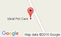 Ideal Pet Care Location