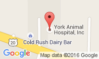 York Animal Hospital Location