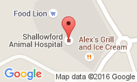 Shallowford Animal Hospital Location